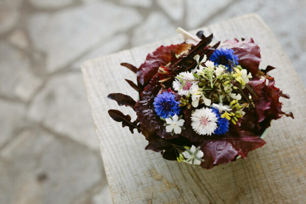 Edible flowers can turn any meal into something intriguing and magical. Photo: Kelly Brown 