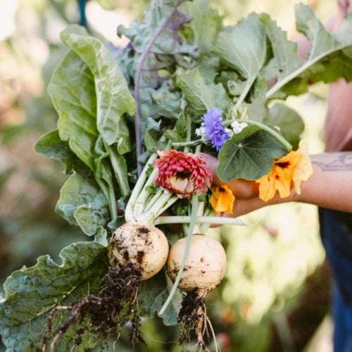 An edible garden give so much more variety than the grocery store. Photo: Kelly Brown