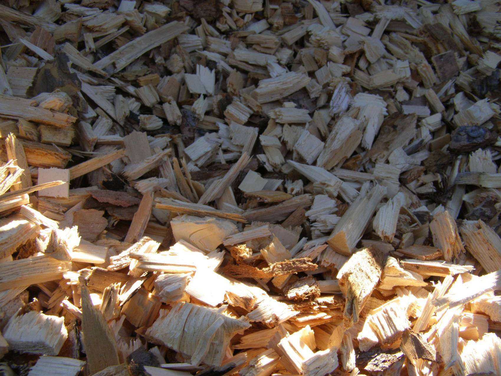 Chipped & Screened Poplar Chips