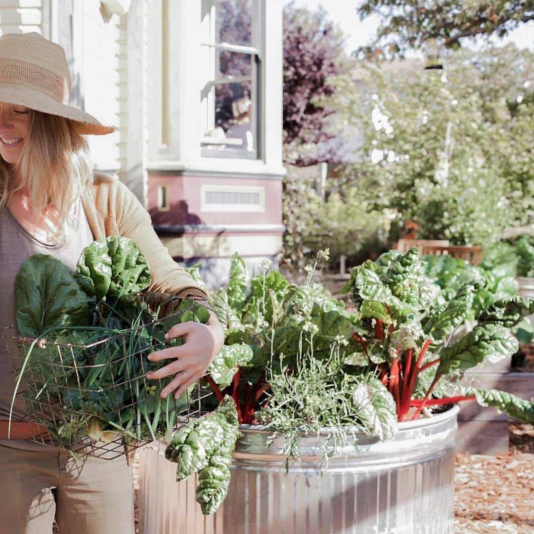 Lady holding a basket of kale and other greens from a container garden