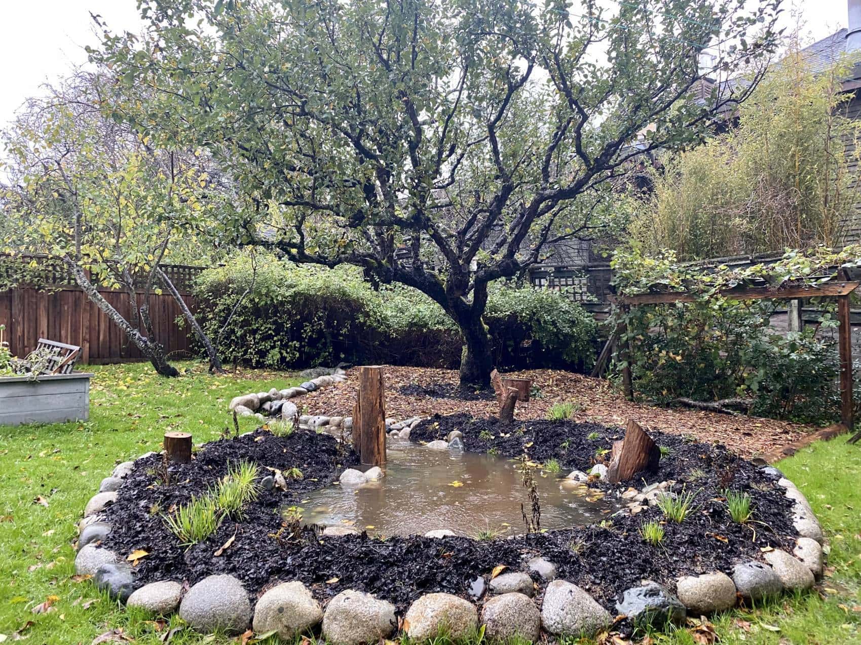 Wildlife Ponds