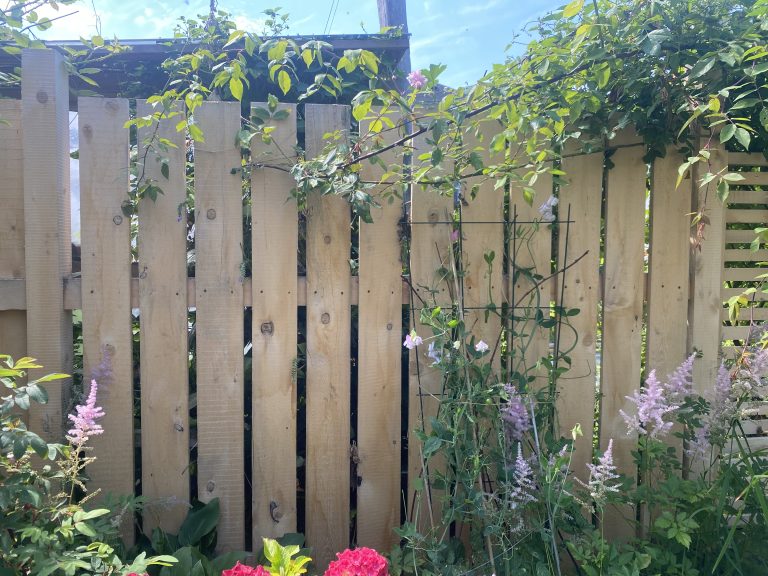 garden fencing in Victoria BC
