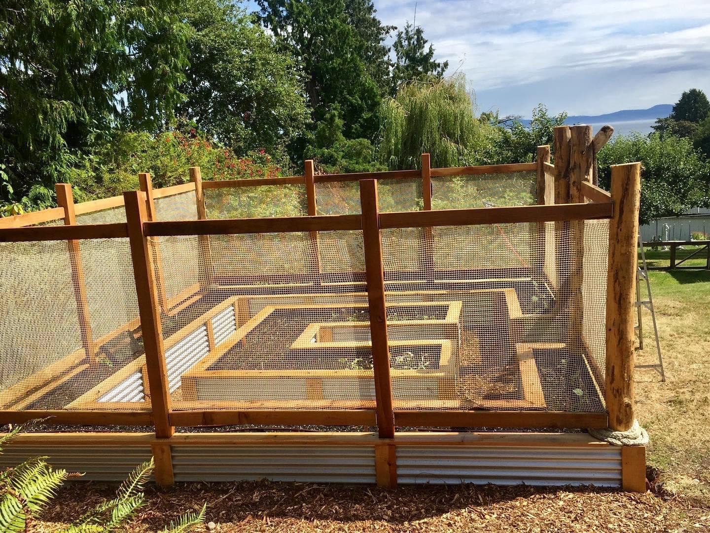 Raised garden beds with a protective fence in a backyard