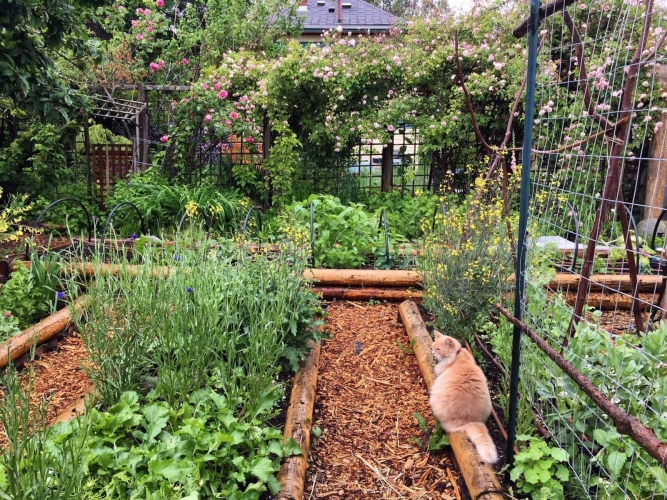 4827C0A2-2774-4B13-8A78-3DF8E4504CEF